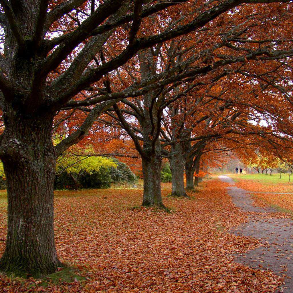 Portal Transaccional